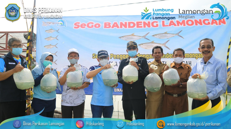 SEGO BANDENG Lamongan, Perkuat Sentra Benih Bandeng dari Desa Wangen